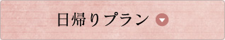 日帰りプラン