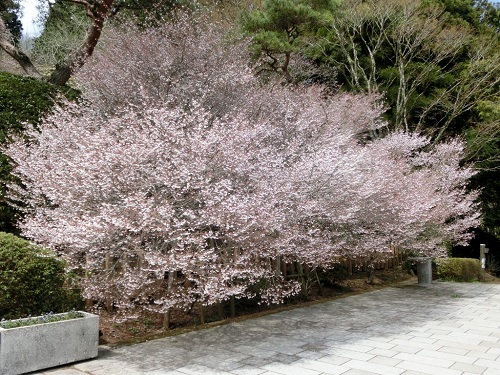 恩賜箱根公園.jpg