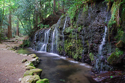 箱根の滝