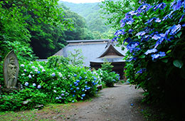 阿弥陀寺