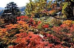 箱根強羅公園