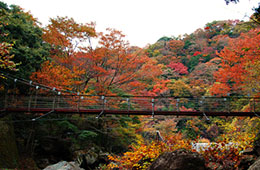 木賀　早川（堂ヶ島）渓谷遊歩道