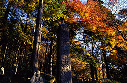 長安寺