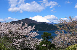 恩賜箱根公園からの富士山