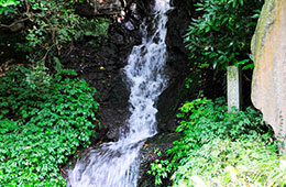 霊泉の滝