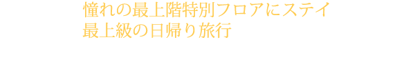 憧れの最上階特別フロアにステイ 最上級の日帰り旅行 露天風呂付き特別室 六花プラン