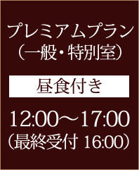 プレミアムプラン （一般・特別室） 昼食付き 12:00～17:00（最終受付16:00）