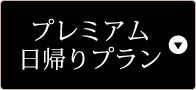 プレミアム日帰りプラン