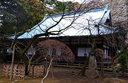 早雲寺　寺宝一般公開