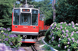 箱根登山電車