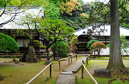 早雲寺