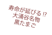 寿命が延びる!? 大涌谷名物 黒たまご