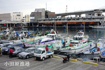 小田原漁港
