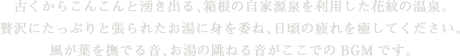 古くからこんこんと湧き出る、箱根の自家源泉を利用した花紋の温泉。贅沢にたっぷりと張られたお湯に身を委ね、日頃の疲れを癒してください。風が葉を撫でる音、お湯の跳ねる音がここでのBGMです。